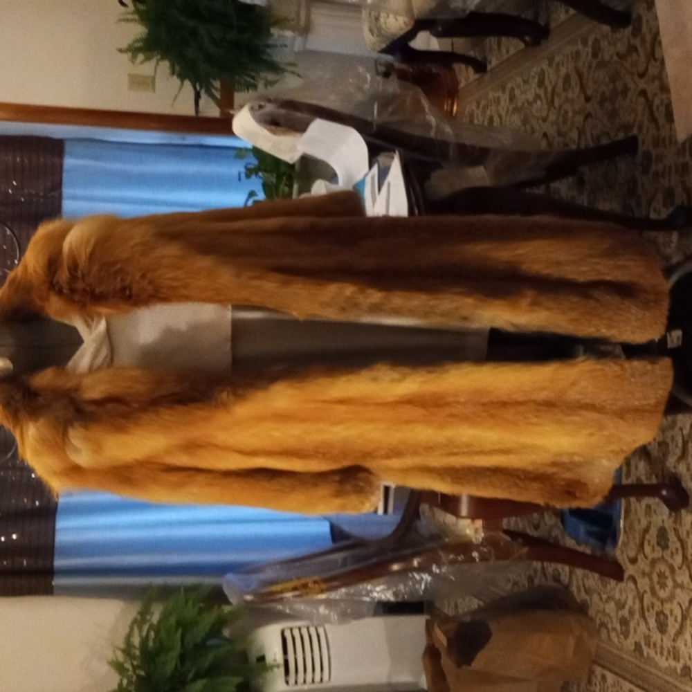 Full Length, Red Fox Coat